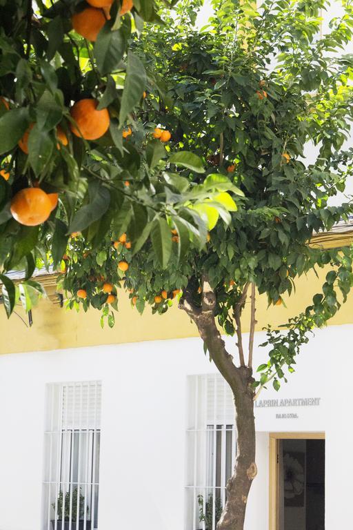 Laprin Apartment Córdoba Exterior foto